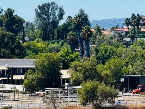 Equestrian and animal keeping zoned properties are important to the rural community character.