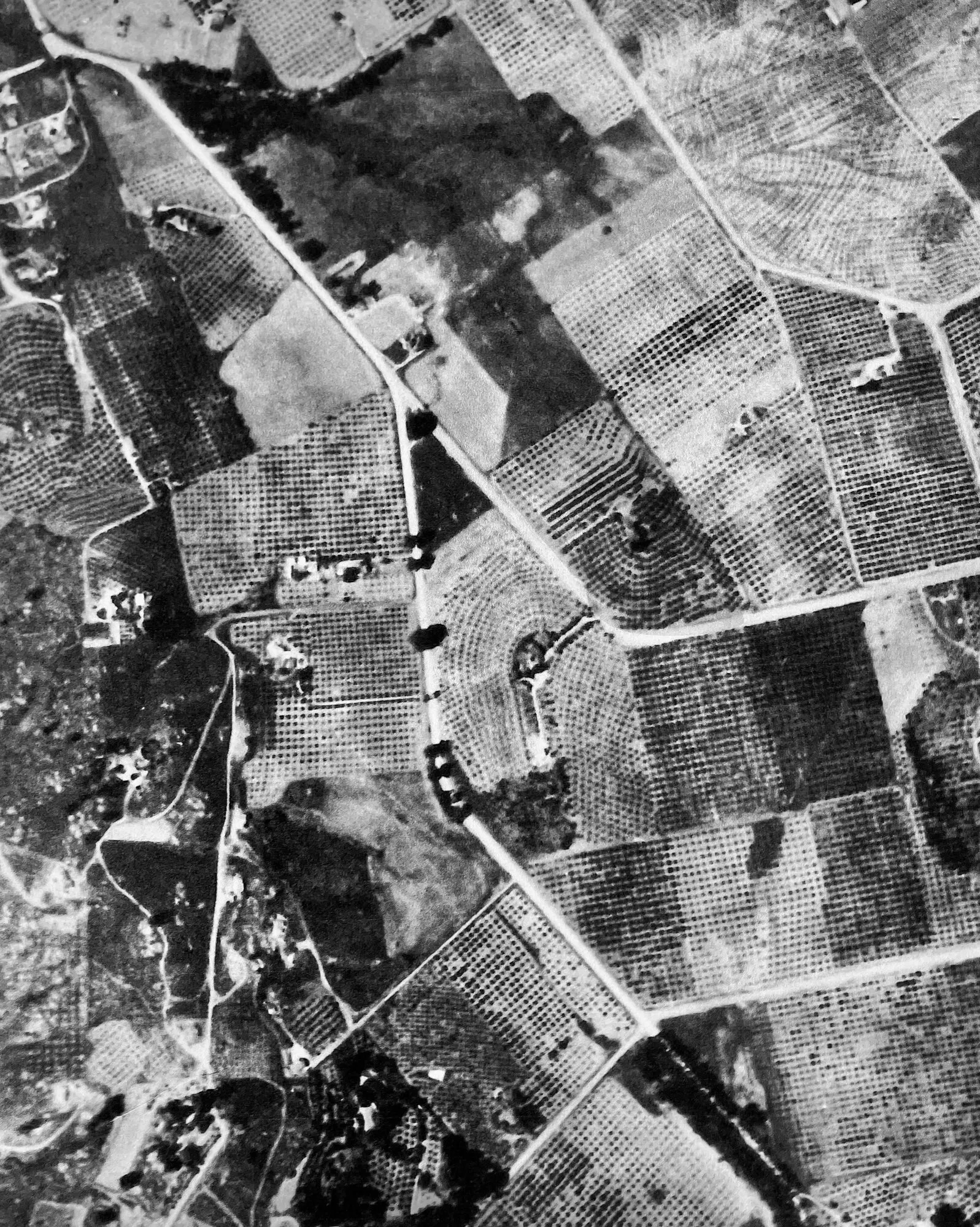 Historic aerial photograph of the orchards and small farms that once covered the Escondido valley.