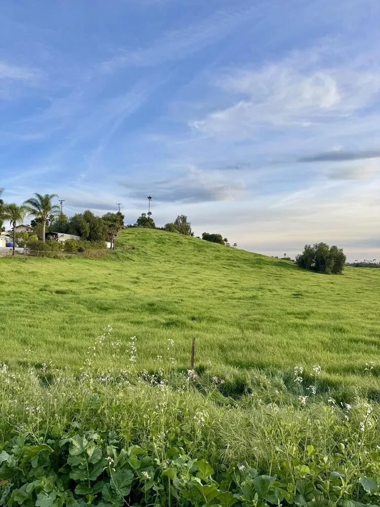 Green hillside and open sky in unincorporated Escondido.