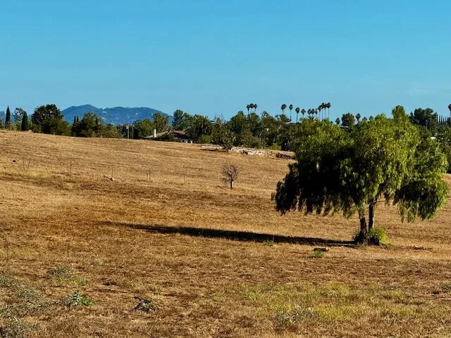 Open field on the valley floor with the surrounding ridgeline behind it.
