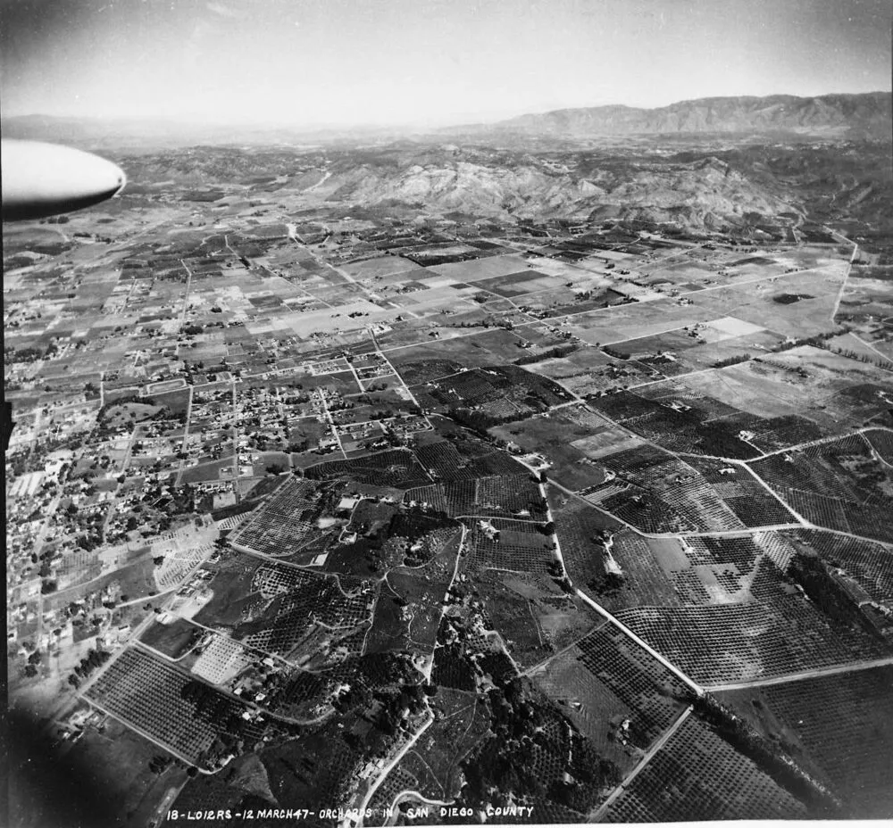 Aerial photograph of San Diego County orchards, March 1947.